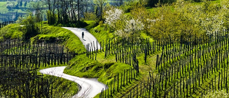 To je pot ob vinskih hramih, kjer lahko poskusimo odlično, doma pridelano vino, na turističnih kmetijah pa okusimo tipične vipavske jedi.